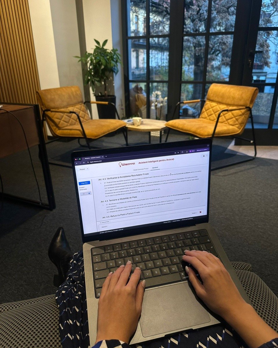 A professional working with Wisanna in a modern office